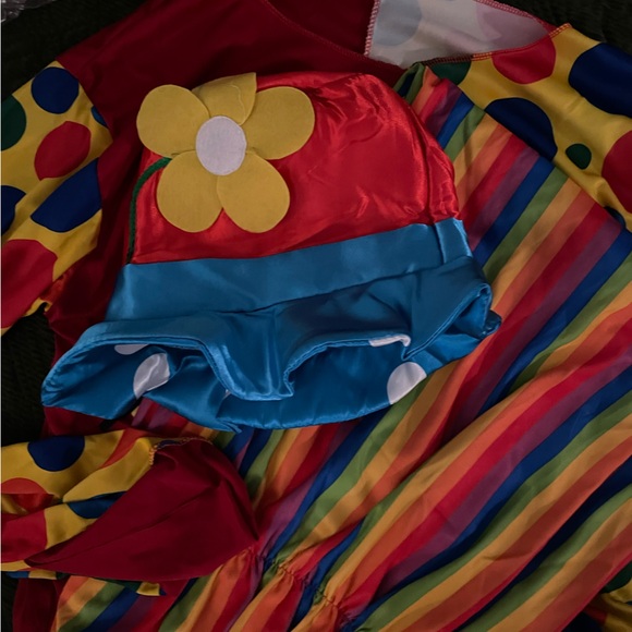 Clown Costumes & Accessories - Picture 6 of 8